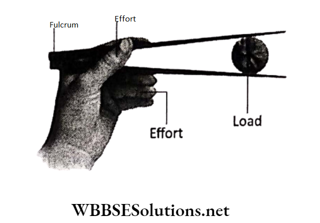 WBBSE Solutions for school science class 6 chapter 9 common machines road and tongs