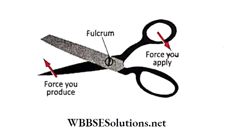 WBBSE Solutions for school science class 6 chapter 9 common machines scissor 2