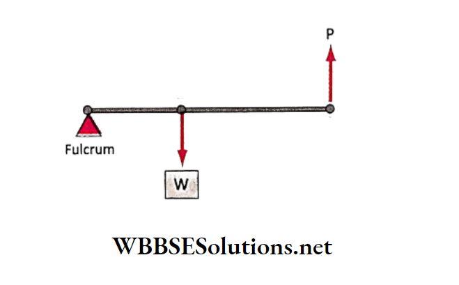 WBBSE Solutions for school science class 6 chapter 9 common machines second class levers