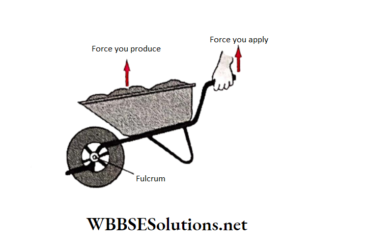 WBBSE Solutions for school science class 6 chapter 9 common machines wheel barrows