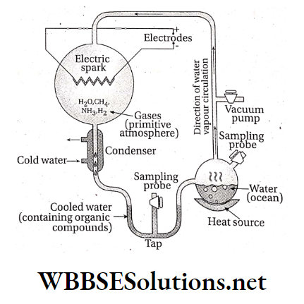 WBBSE solutions For Class 10 Life Science And Environment Evolution Concepts Of Evolution Experimental set up of Miller and Urey