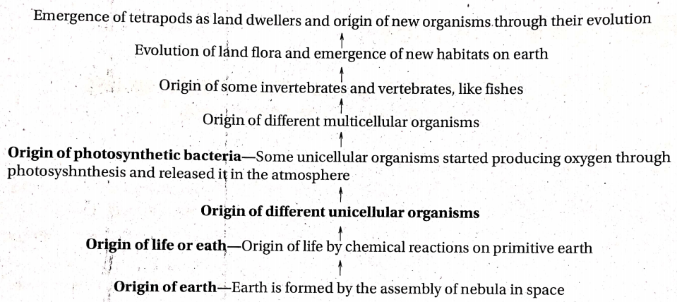 WBBSE solutions For Class 10 Life Science And Environment Evolution Concepts Of Evolution The major evolutionary events