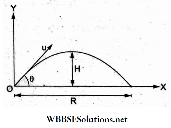 General Physics Synopsis Projectile motion