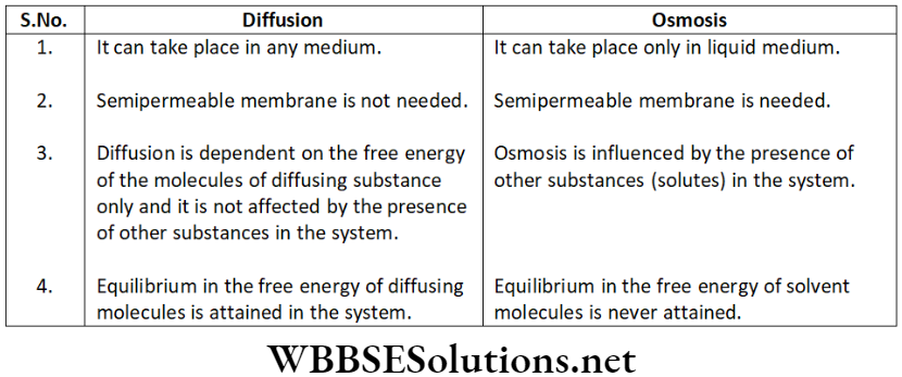 NEET Foundation Biology The Fundamental Unit Of Life Difference Between Diffusion And Osmosis