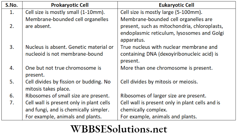 NEET Foundation Biology The Fundamental Unit Of Life Difference between prokaryotic and eukaryotic cell