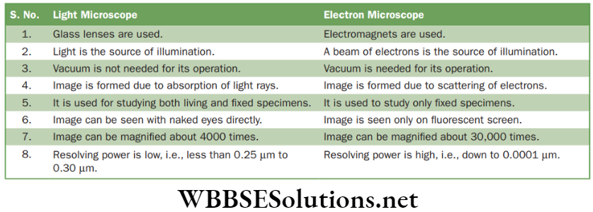 NEET Foundation Biology The Fundamental Unit Of Life Differences between light microscope and electron microscope