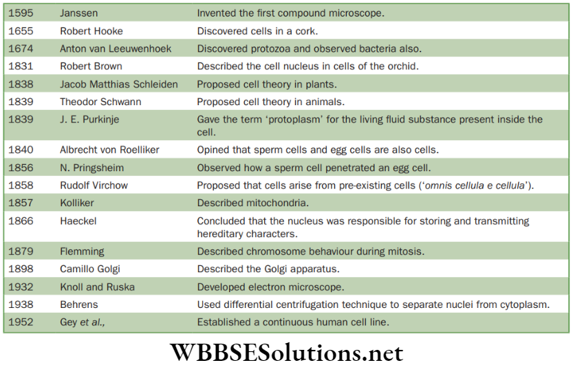 NEET Foundation Biology The Fundamental Unit Of Life History of cell biology