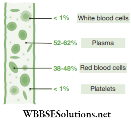 NEET Foundation Biology Tissues Blood composition in 1%