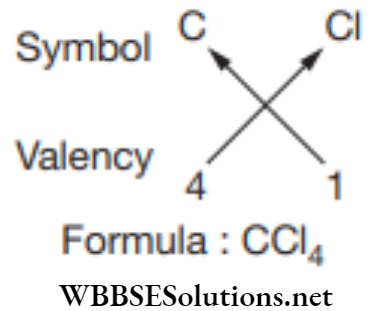 NEET Foundation Chemistry Atoms And Molecules Formula of simple compound