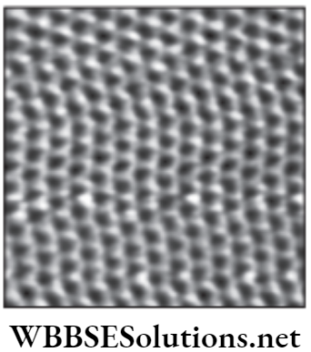 NEET Foundation Chemistry Atoms And Molecules Scanning tunneling microscopy view of atom