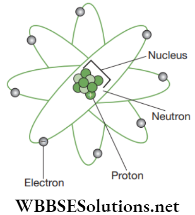 NEET Foundation Chemistry Atoms And Molecules Symbols of atom