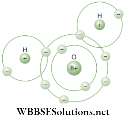NEET Foundation Chemistry Atoms And Molecules Water Molecule