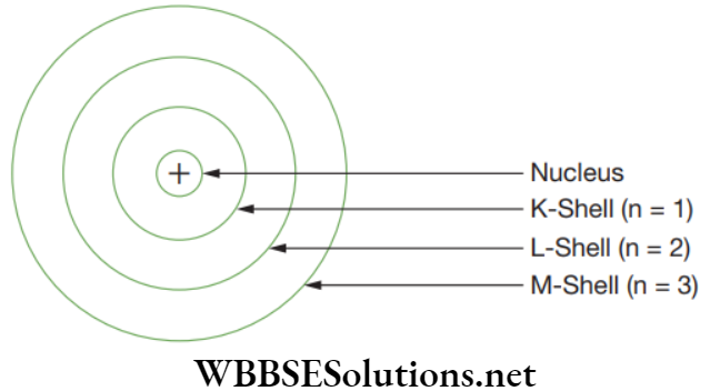 NEET Foundation Chemistry Structure Of Atom Bohr's model of atom