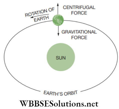 NEET Foundation Physics Gravitation Effect of gravitational force on planet