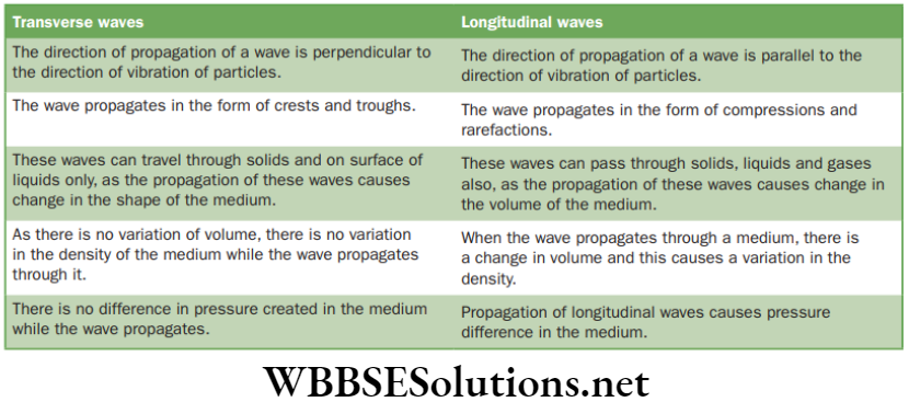 NEET Foundation Physics Sound Comparison between transverse and longitudinal waves