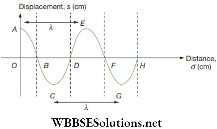 NEET Foundation Physics Sound Displacement - distance graph