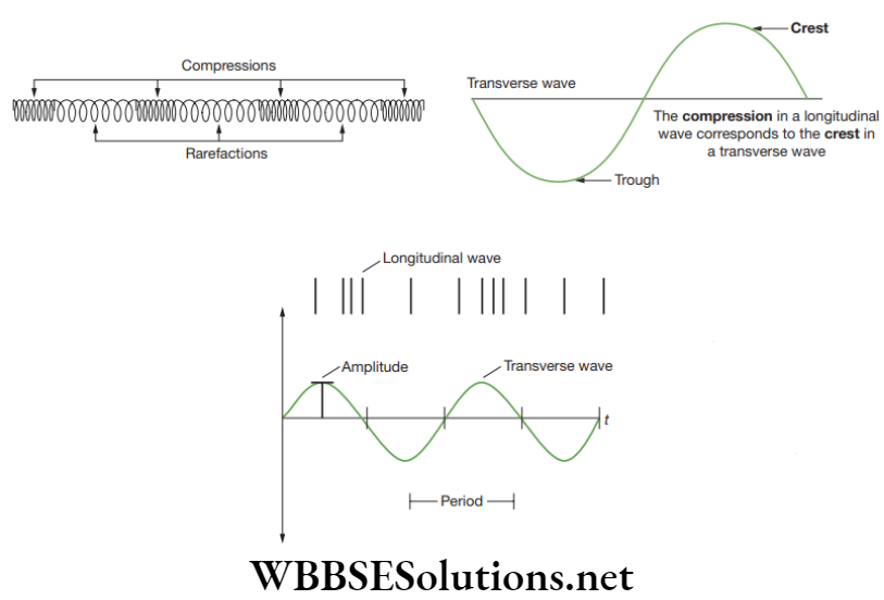 NEET Foundation Physics Sound Longitudinal wave