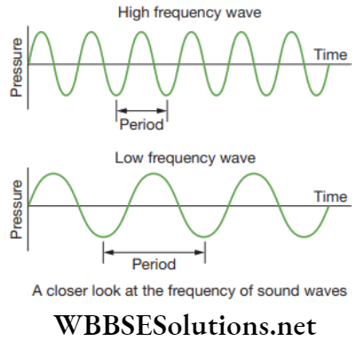 NEET Foundation Physics Sound Propagation of sound