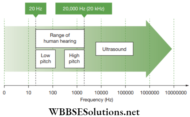 NEET Foundation Physics Sound Range of hearing