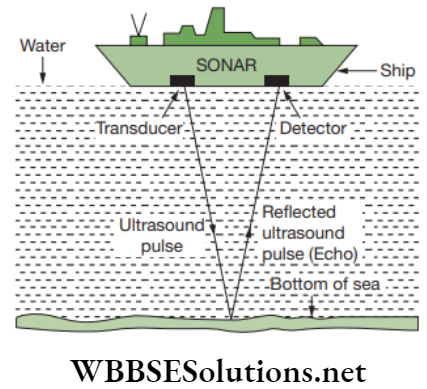 NEET Foundation Physics Sound Sound navigation and ranging