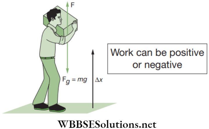 NEET Foundation Physics Work And Energy Cases for positive and negative work