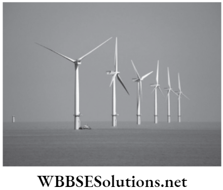 NEET Foundation Physics Work And Energy Wind turbine