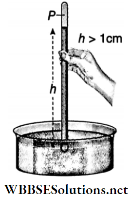 Class 11 Physics Part 2 Unit 7 Properties Of Matter Chapter 2 Hydrostatics A Tube Is Inverted In A Mercury Vessel