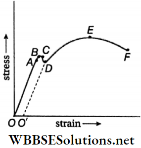 Class 11 Physics Unit 7 Properties Of Matter Chapter 1 Elasticity String Graph Line Segment BC