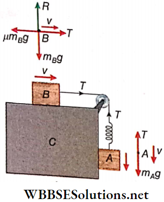 Class 11 Physics Unit 7 Properties Of Matter Chapter 1 Elasticity Twom Blocks A And B Are Connected To Ech Other By A String And A Spring