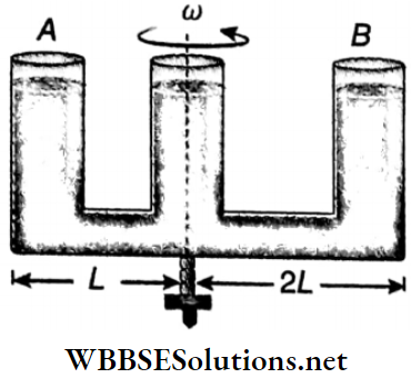Class 11 Physics Unit 7 Properties Of Matter Chapter 2 Hydrostatics Shaped Glass Tube Having Uniform Crosssection