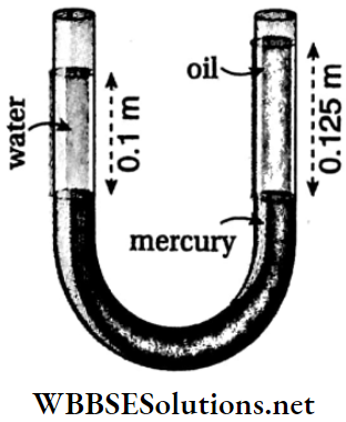 Class 11 Physics Unit 7 Properties Of Matter Chapter 2 Hydrostatics U Tube Of Uniform Cross Section Contains Some Mercury