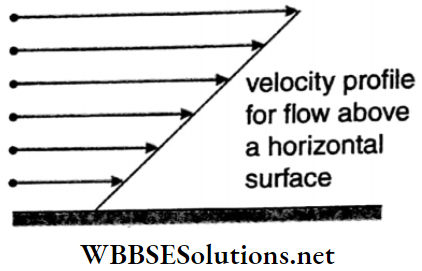 Class 11 Physics Unit 7 Properties Of Matter Chapter 3 Viscosity And Surface Tension Velocity Profile For Horizontal Surface