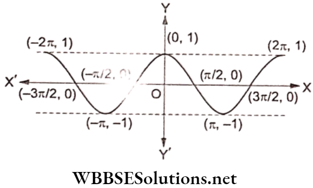 Class 12 Maths Continuity And Differentiability Graph of a Cosine Function 1