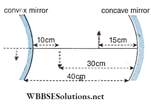 Class 12 Physics Unit 6 Optics Chapter 1 Reflection Of Light Convex Mirror And Concave Mirror