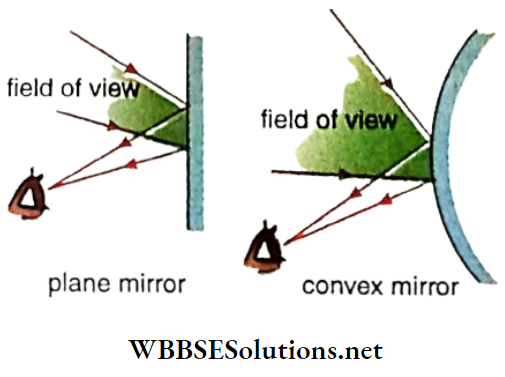 Class 12 Physics Unit 6 Optics Chapter 1 Reflection Of Light Plane Mirror ANd Convex Mirror