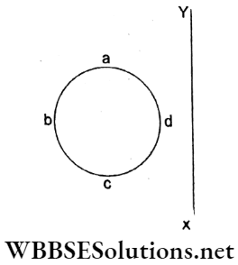 Electromagnetic Induction Multiple Choice Questions And Answers Conducting Circular Loop Q4