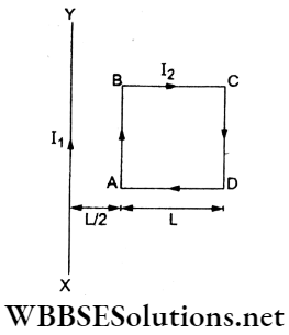 Magnetic Effect of Current Multiple Choice Questions And Answers A Square Conducting Loop Q47