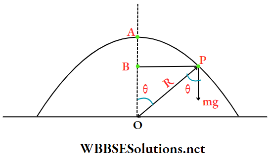 Medical Entrance physics Multiple choice question and answers Q 24
