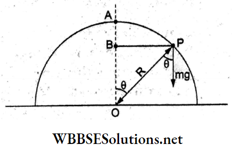 Medical Entrance physics Multiple choice question and answers Q 24