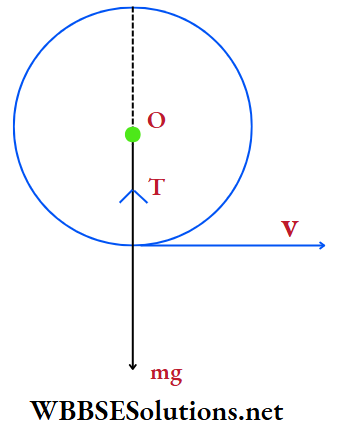 Medical Entrance physics Multiple choice question and answers centriperal force Q 31