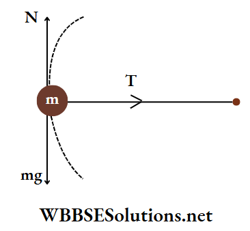 Medical Entrance physics Multiple choice question and answers particle of mass Q 27