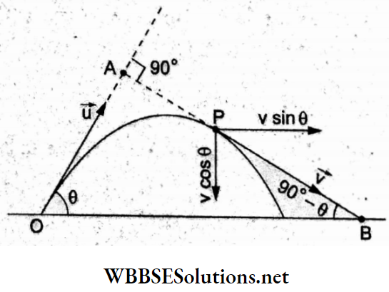 Motion In A Plane Multiple choice question and answers perpendicular to the directiion of the velocity of projection Q 31