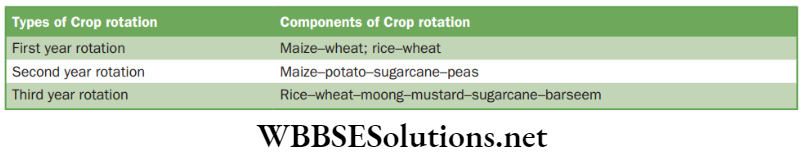 NEET Foundation Biology Improvement In Food Resources Types of crop rotation