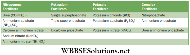 NEET Foundation Biology Improvement In Food Resources Types of fertilizers and their examples