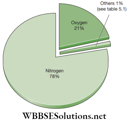 NEET Foundation Biology Natural Resources Composition of gases in ambient environment