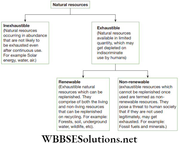 NEET Foundation Biology Natural Resources Flowchart depicting divisions of natural resources