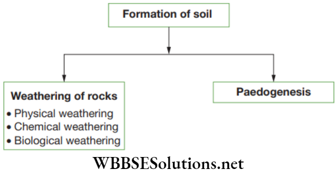 NEET Foundation Biology Natural Resources Formation of soil
