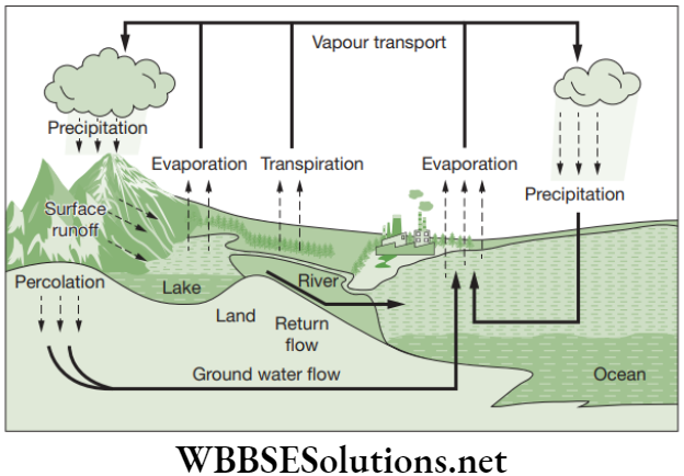 NEET Foundation Biology Natural Resources Water cycle
