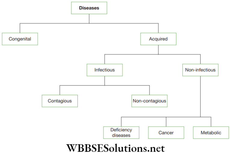 NEET Foundation Biology Why Do We Fall Ill Broad classification of human diseases