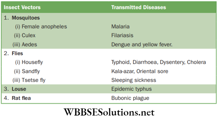 NEET Foundation Biology Why Do We Fall Ill Human diseases transmitted by various vectors